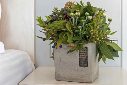 Freshness,Φρεσκάδα