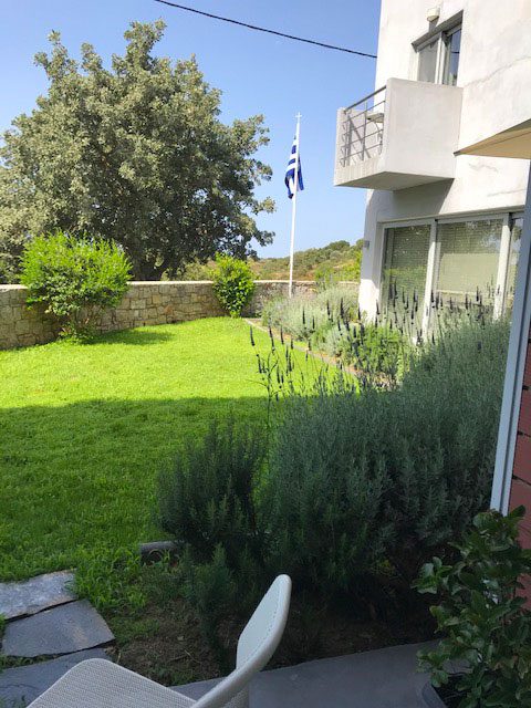 Garden view